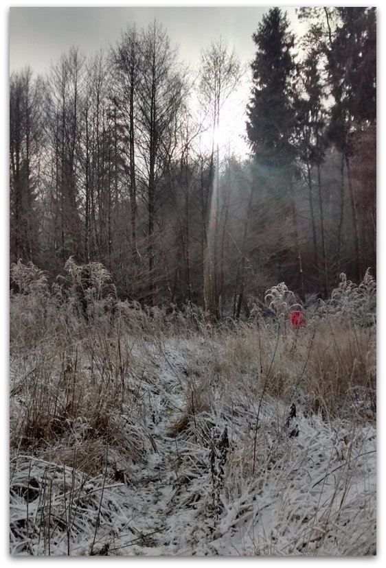 Zimą...          Fot. Agata Lubańska
